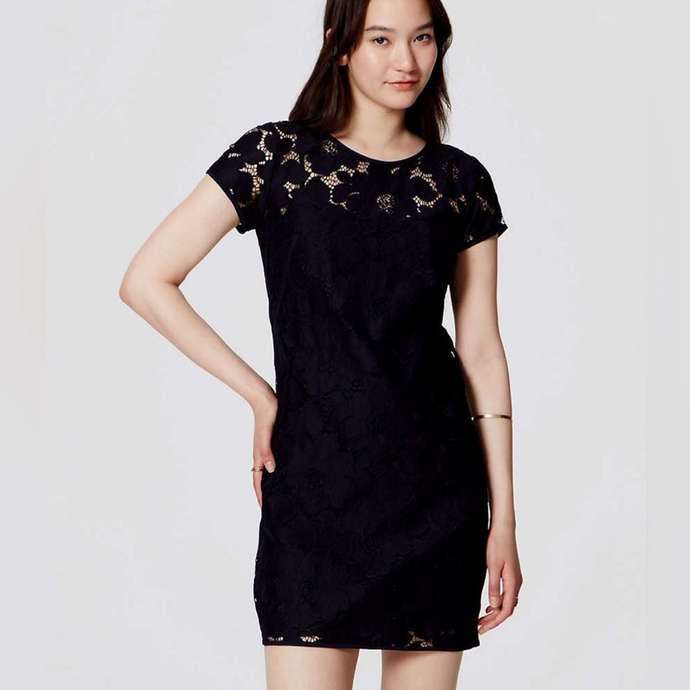 NWT Ann Taylor Loft Navy Lace Dress, 00P